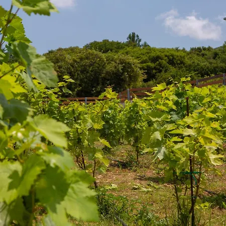 Villa Avraam Sunset With Private Heated Pools Kalamítsi